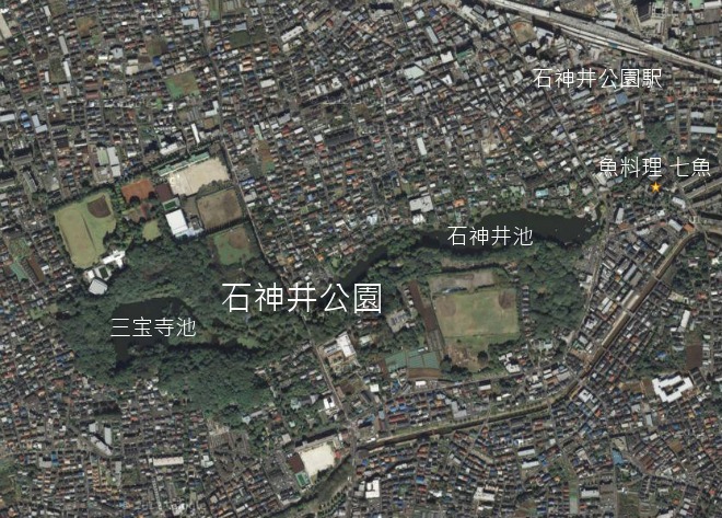 石神井公園の上空写真