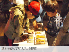 小樽市総合博物館運河館での当会代表・川井唯史のミニ講演会