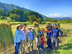 静岡県富士宮オーガニックブラジル野菜こんぺいとう農園稲刈り体験