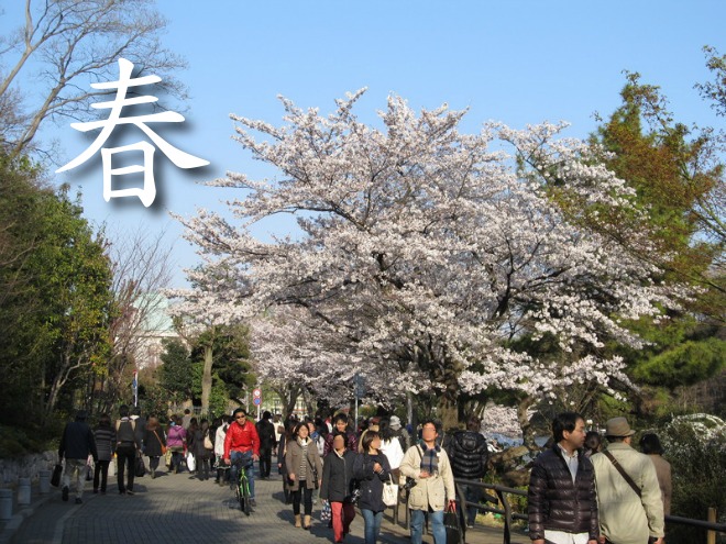 春の石神井公園